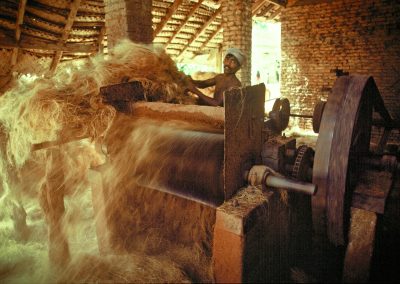 Un homme torse nu prépare, sans aucune sécurité, la fibre de coco à l'aide d'une machine qui broie le coir et le sépare en filaments.