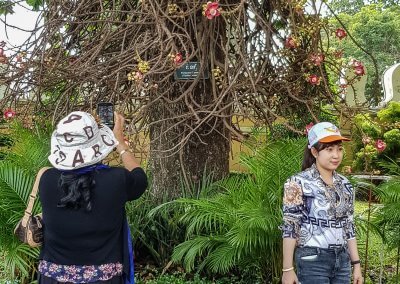 Touristes asiatiques se prenant en photo dans un temple