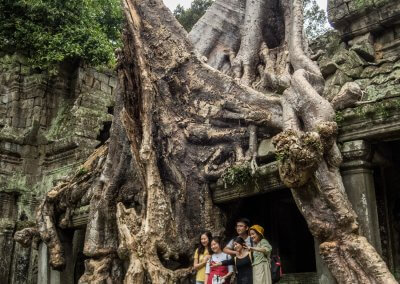 Des touristes asiatiques prennent la pose au milieu des racines qui ont envahi un temple à Angkor au Cambodge