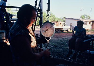 Un chasseur pèse le kangourous après la chasse