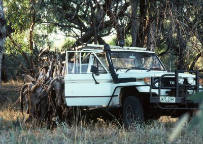 Au petit matin, le 4x4 du chasseur chargé de kangourous